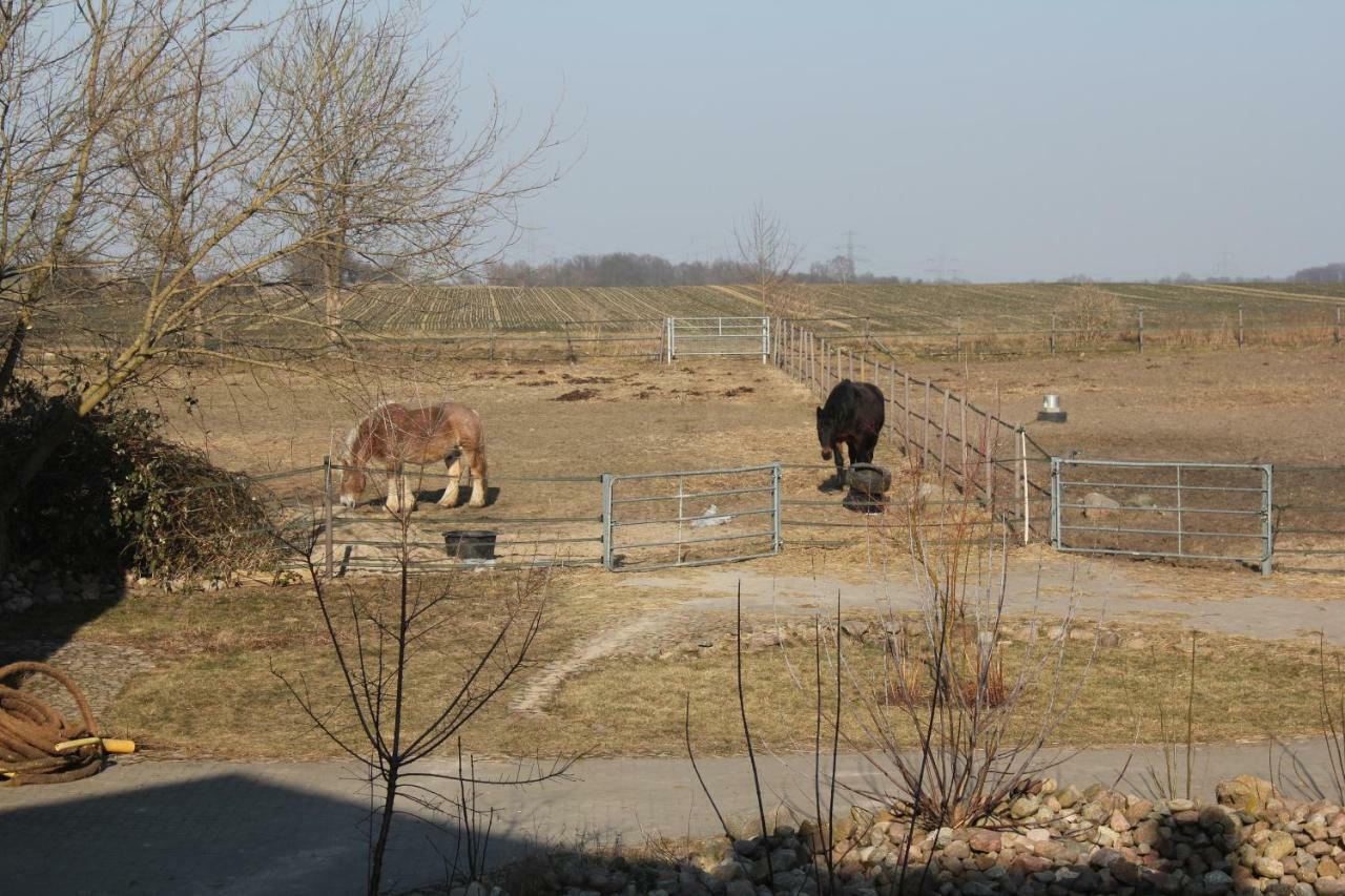 Ferienwohnung Pusteblume Steinhofel Zewnętrze zdjęcie